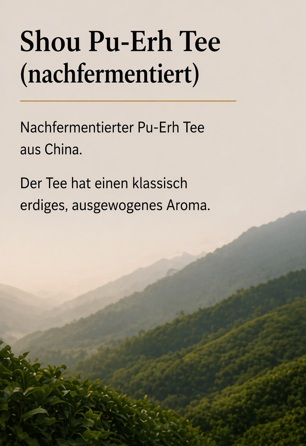 *** Aktionspreis *** Shou Pu-Erh Tee 150g